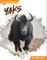 Yaks