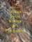 List of Walter Joseph Schenck Jr's Publications