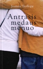 Antrasis medaus mėnuo