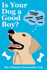 Is Your Dog a Good Boy?