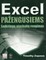 Excel pažengusiems. Sudėtingų ataskaitų rengimas