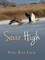 Soar High