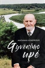 Gyvenimo upė