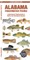 Alabama Freshwater Fishes