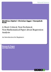 Zöphel, M: Short Critical, Non-Technical, Non-Mathematical P