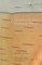 History of the Ojibway People, Second Edition