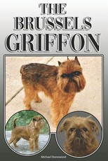 The Brussels Griffon