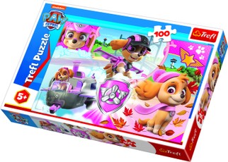 TREFL PAW PATROL dėlionė „Šuniukai-patruliai“, 100 det.