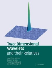 Two-Dimensional Wavelets and Their Relatives