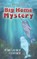 Sparky & Benny's Big Home Mystery
