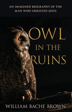 Owl in the Ruins