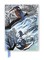 Angela Harding: Suffolk Kingfishers (Foiled Journal)