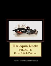 Harlequin Ducks
