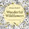 Wonderful Wildflowers