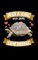 Just A Girl Who Loves Giant Tortoise