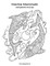 Marine Mammals Coloring Book for Grown-Ups 1