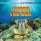 Under the Sea