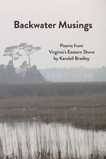 Backwater Musings