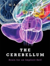 Cerebellum, The