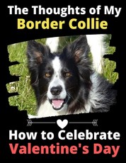 The Thoughts of My Border Collie