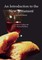 Introduction to the New Testament