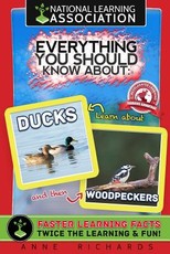 Everything You Should Know About