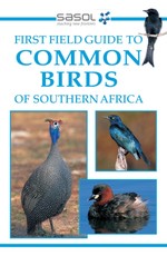 First Field Guide to Common Birds of Southern Africa