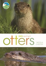 RSPB Spotlight: Otters