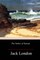 The Turtles of Tasman