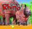 Rhino