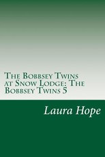 The Bobbsey Twins at Snow Lodge