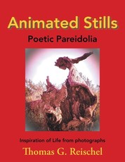 Animated Stills