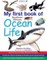My first book of Southern African Ocean Life