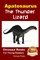 Apatosaurus