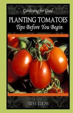 Planting Tomatoes