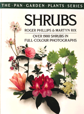 Shrubs