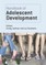 Handbook of Adolescent Development