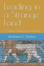 Leading in a Strange Land