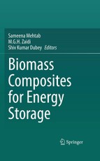 Biomass Composites for Energy Storage