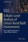 A Multi-Level Analysis of China's Rural Built Environment