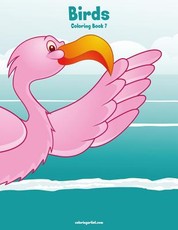 Birds Coloring Book 7