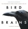 Bird Brains