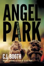 Angel Park