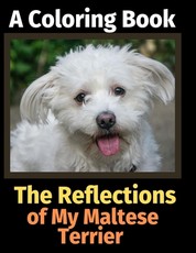 The Reflections of My Maltese Terrier