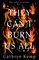 They Can't Burn Us All
