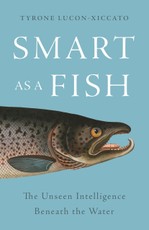 Smart as a Fish