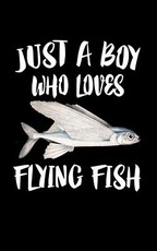 Just A Boy Who Loves Flying Fish