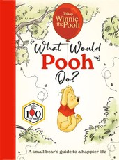 Disney Winnie the Pooh