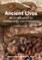 Ancient Lives