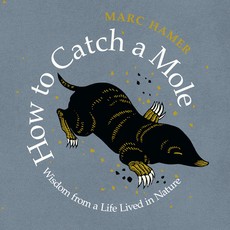 How to Catch a Mole